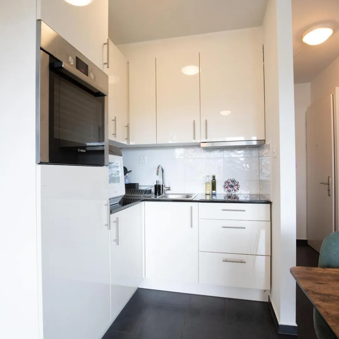 Special Modern Lisa Apartment Basel, Bahnhof Grossbasel 10-Star